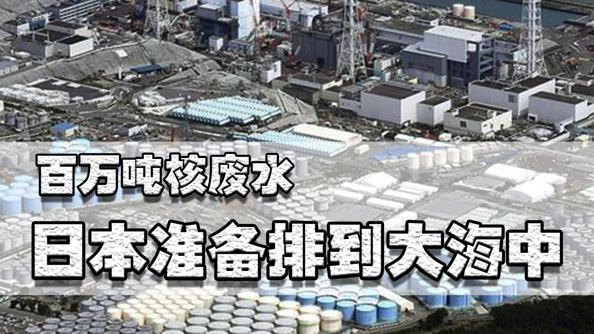 國內多家日料店告急！投資經營及裝修選擇須謹慎